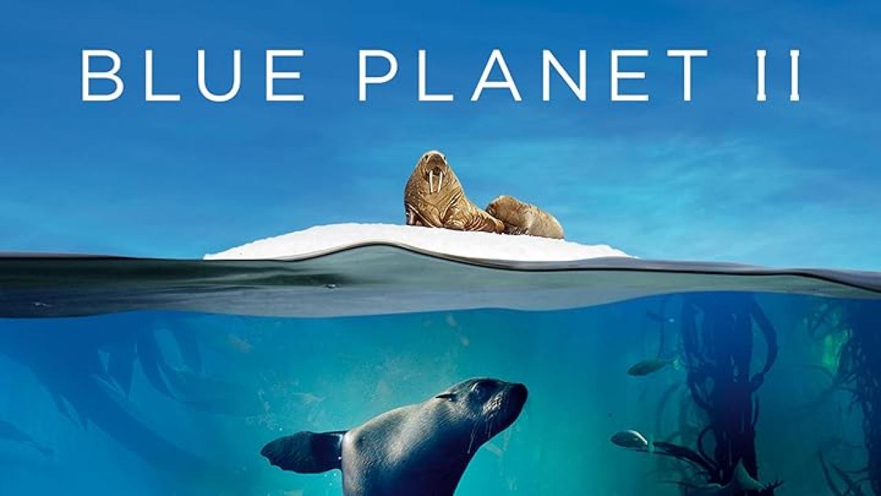 مسلسل Blue Planet II الموسم الاول الحلقة 5 الخامسة مترجمة