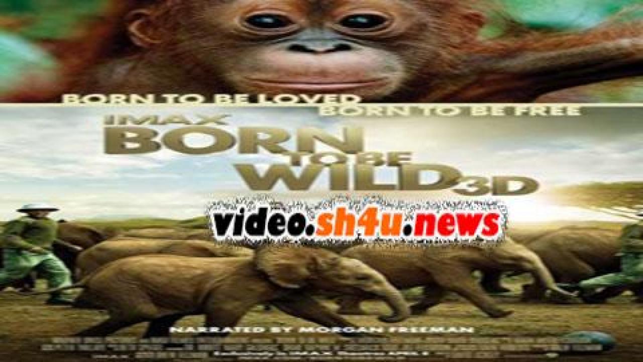 فيلم Born to Be Wild 2011 مترجم - HD