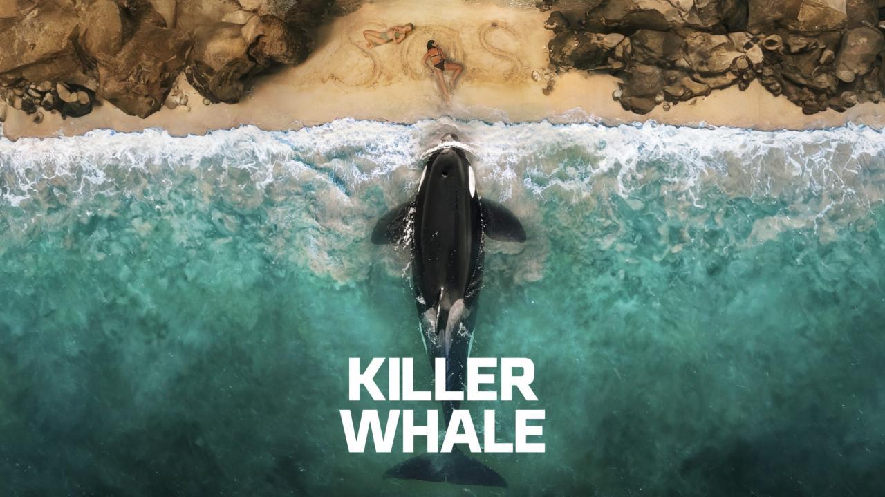 فيلم Killer Whale 2026 مترجم كامل بجودة عالية HD