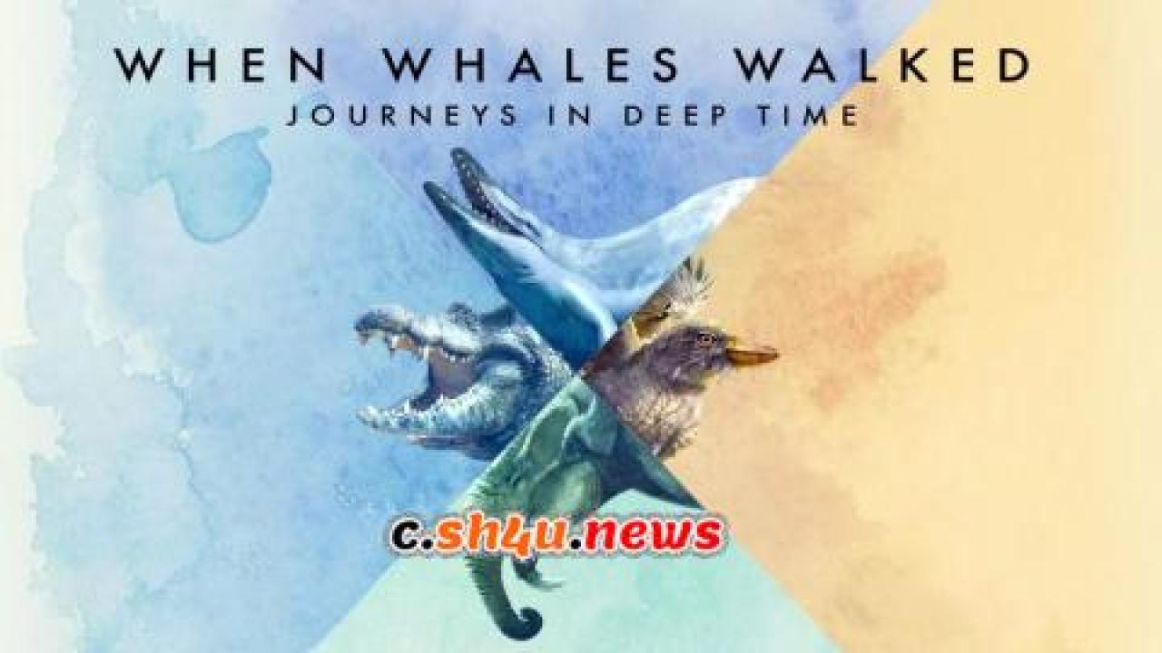 فيلم When Whales Walked: Journeys in Deep Time 2019 مترجم - HD