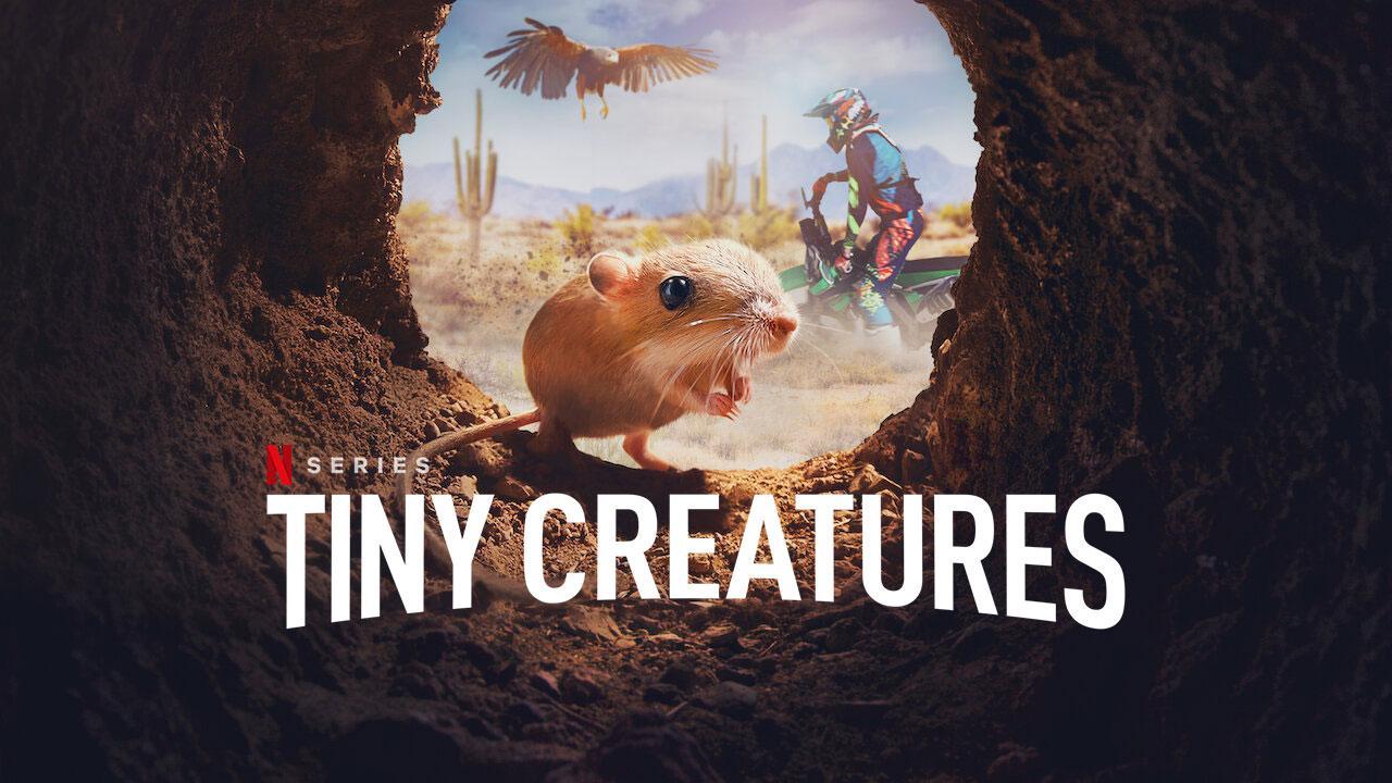 مسلسل Tiny Creatures الموسم الاول الحلقة 1 الاولي مترجمة