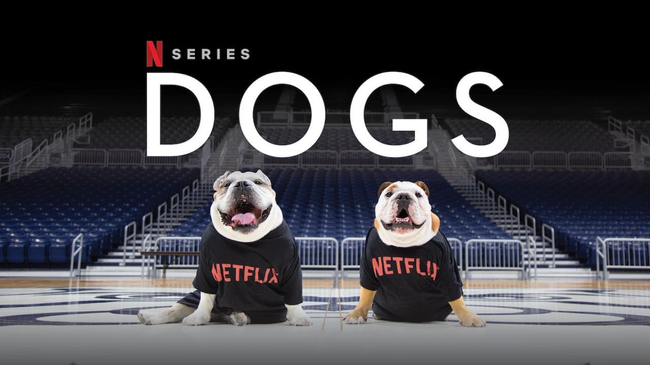 مسلسل Dogs الموسم الثاني الحلقة 2 الثانية مترجمة