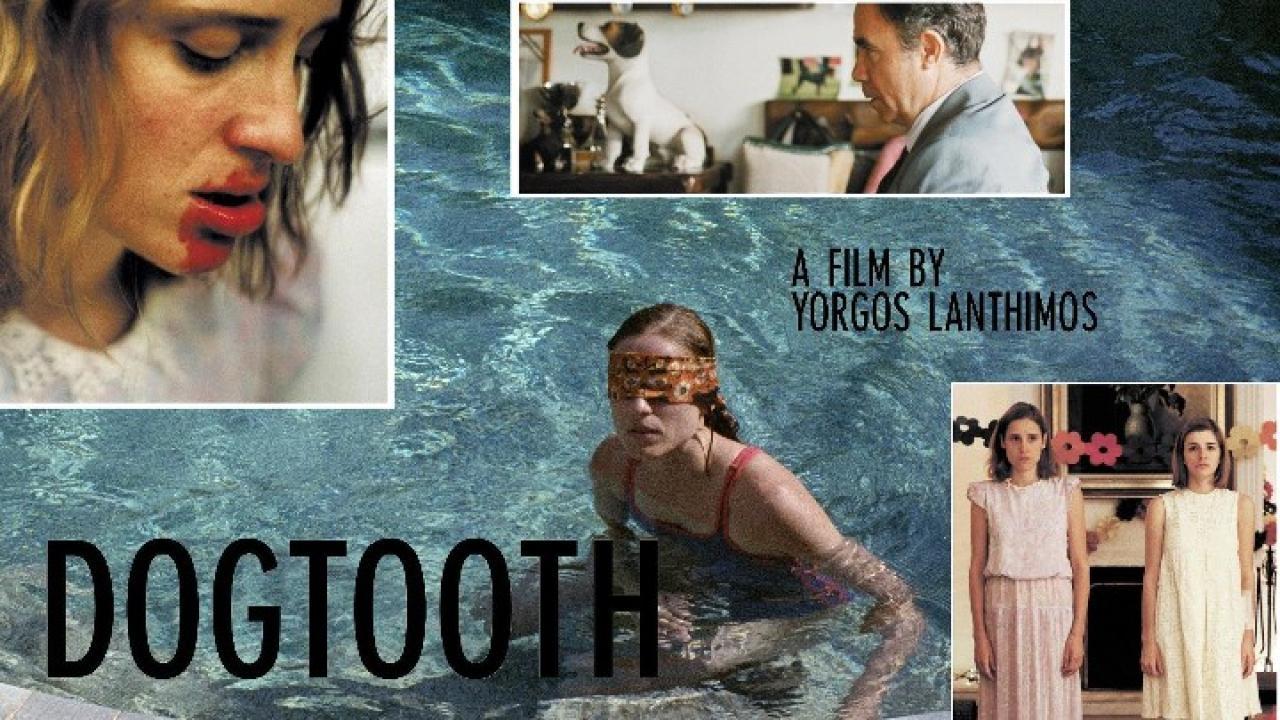 فيلم Dogtooth 2009 مترجم كامل HD