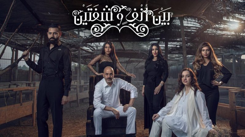 مسلسل بين انف وشفتين الحلقة 5 الخامسة