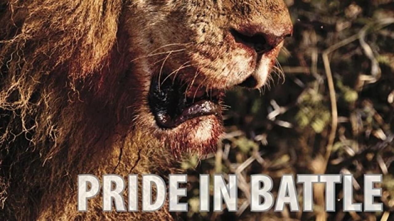 فيلم Pride in Battle 2010 مترجم كامل HD