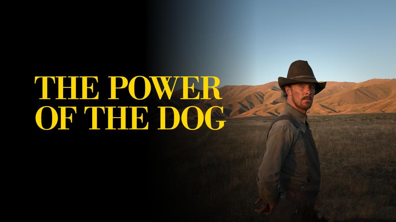 فيلم The Power Of The Dog 2021 مترجم كامل HD