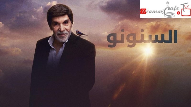 مسلسل السنونو الحلقة 12 الثانية عشر
