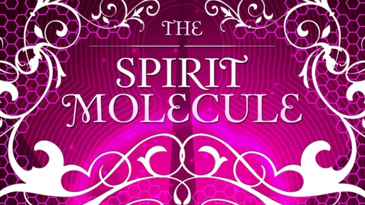 فيلم DMT The Spirit Molecule 2010 مترجم كامل HD