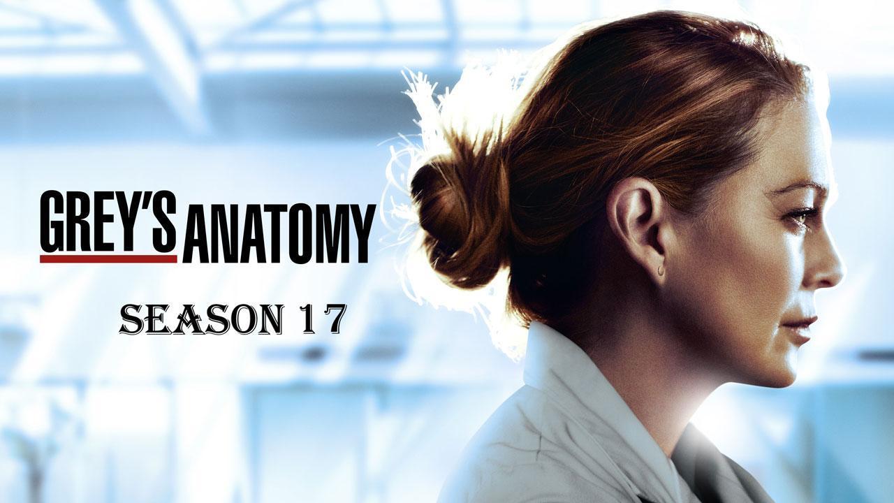 مسلسل Grey's Anatomy الموسم 17 الحلقة 1 الاولي مترجمة