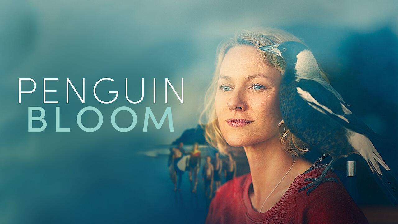 فيلم Penguin Bloom 2020 مترجم كامل بجودة HD