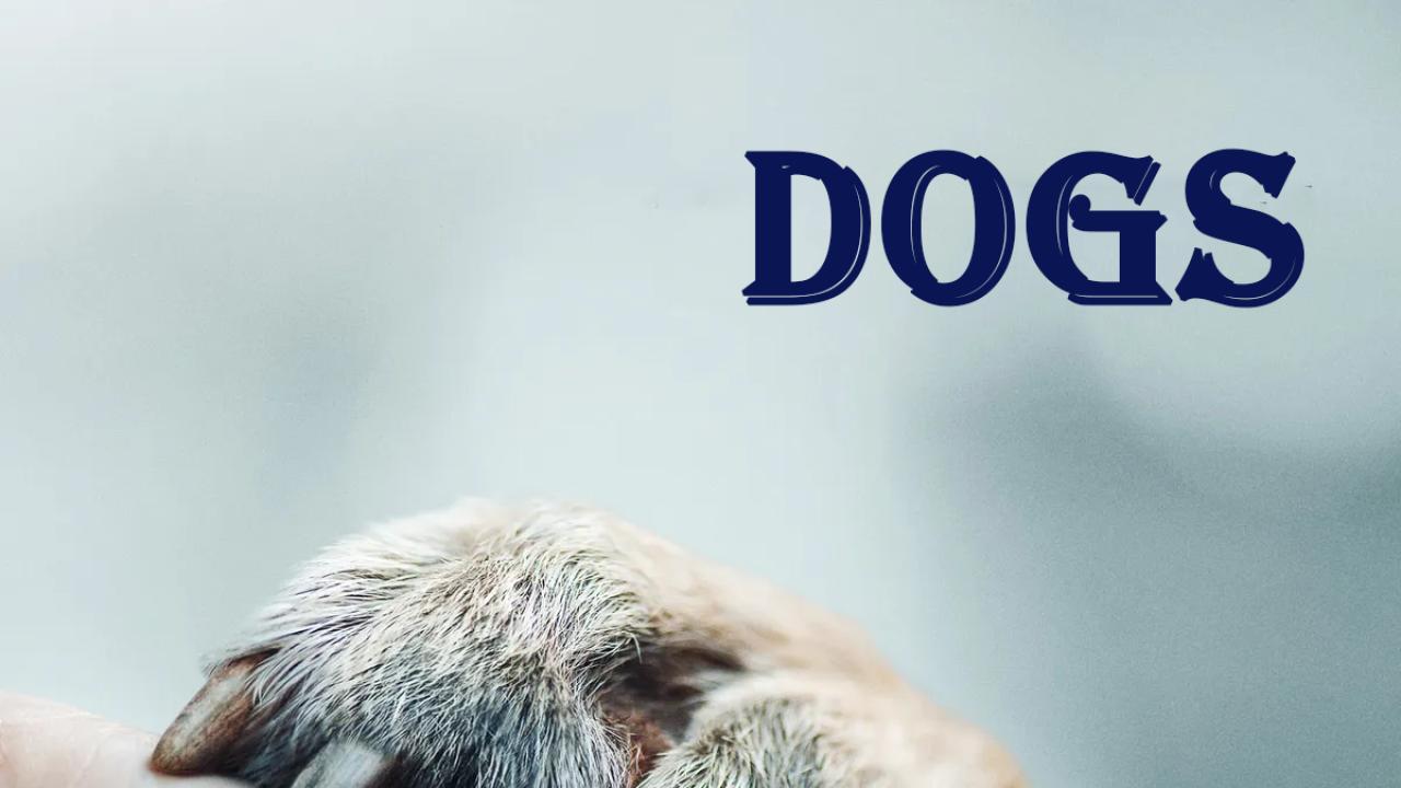 مسلسل Dogs الموسم الاول الحلقة 3 الثالثة مترجمة