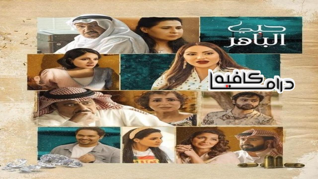 مسلسل حبي الباهر الحلقة 26 السادسة والعشرون