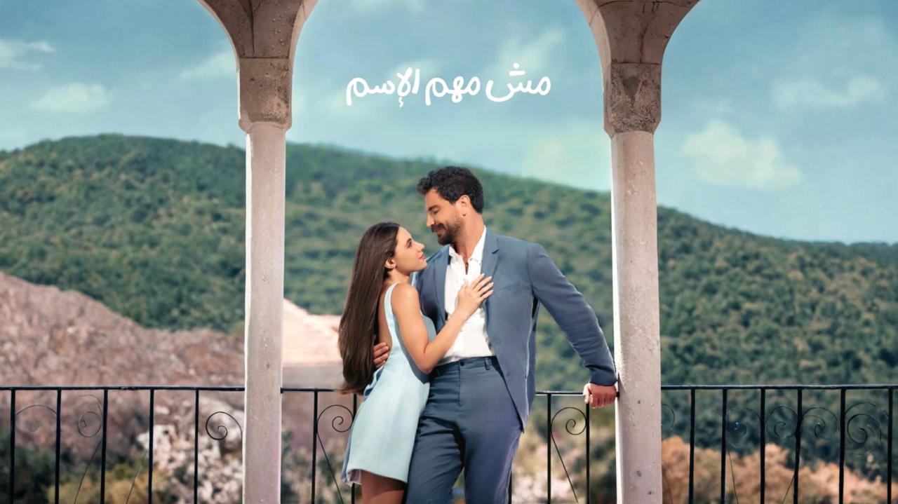 مسلسل مش مهم الإسم الحلقة 13 الثالثة عشر