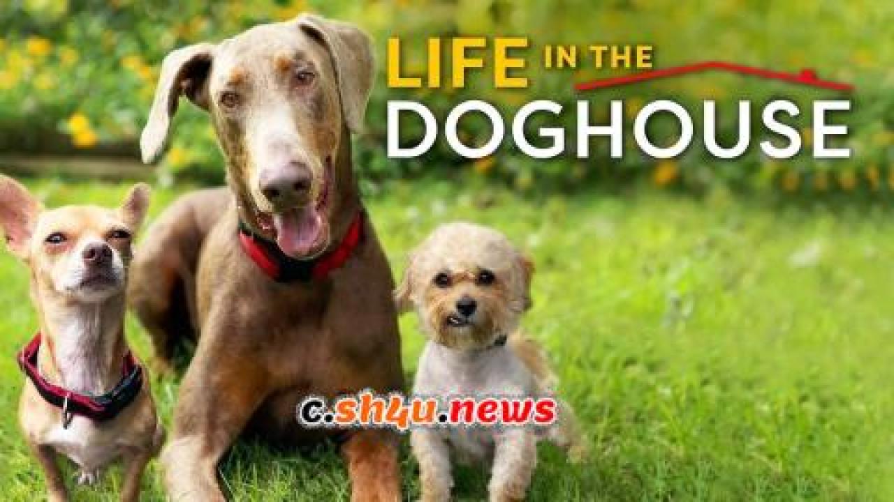 فيلم Life in the Doghouse 2018 مترجم - HD