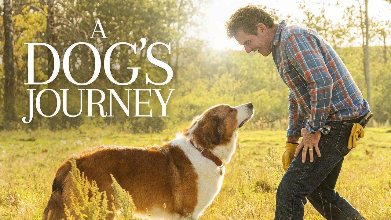 فيلم A Dog's Journey 2019 مترجم كامل بجودة HD