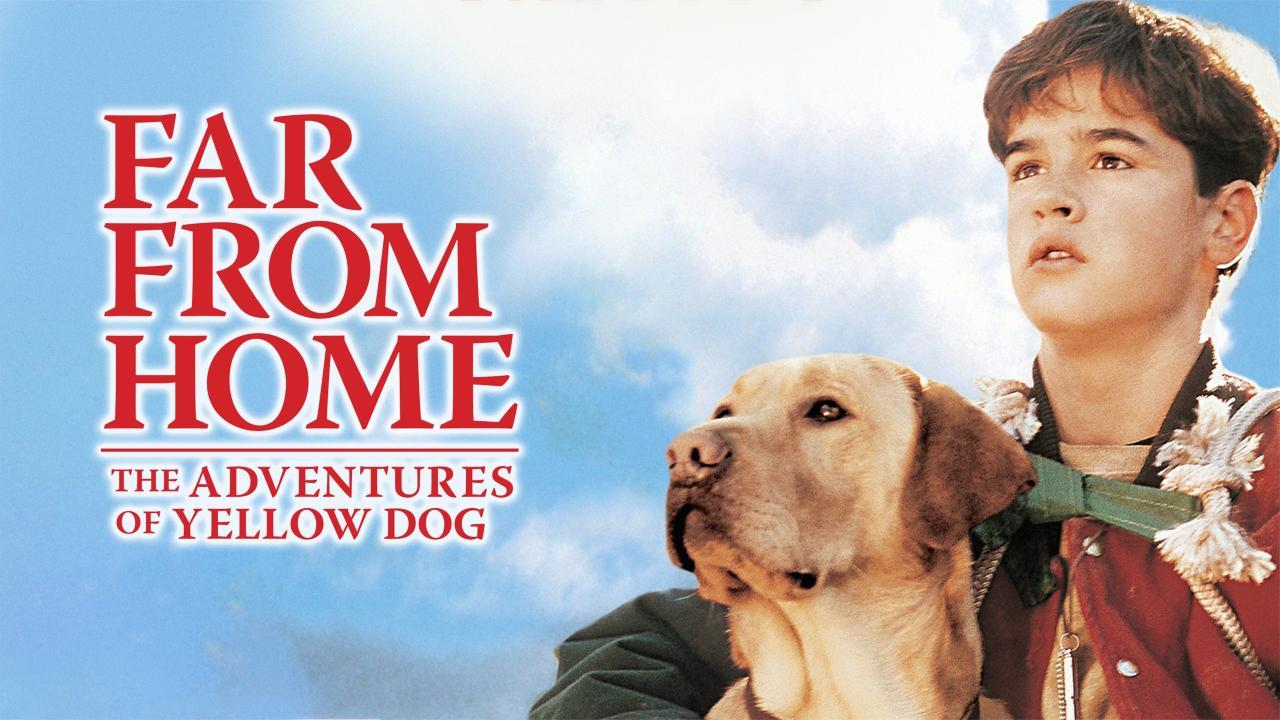 فيلم Far From Home: The Adventures Of Yellow Dog 1995 مترجم كامل HD