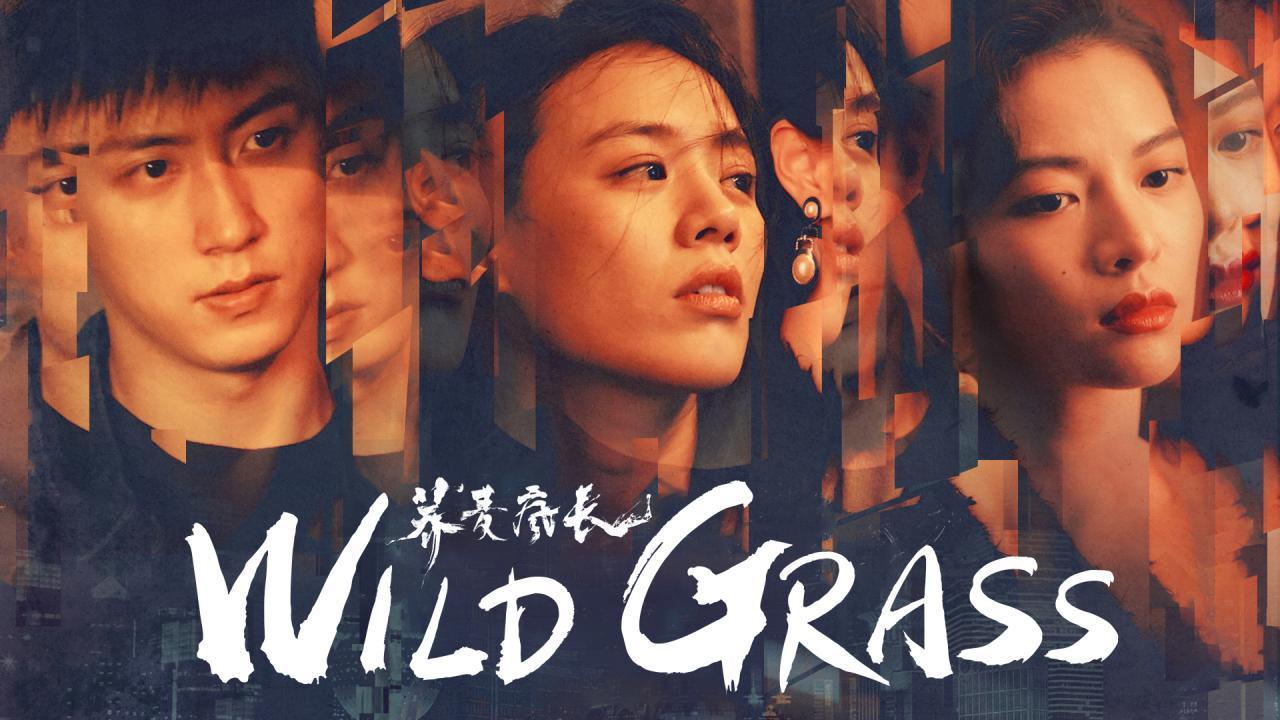 فيلم Wild Grass 2020 مترجم كامل بجودة HD