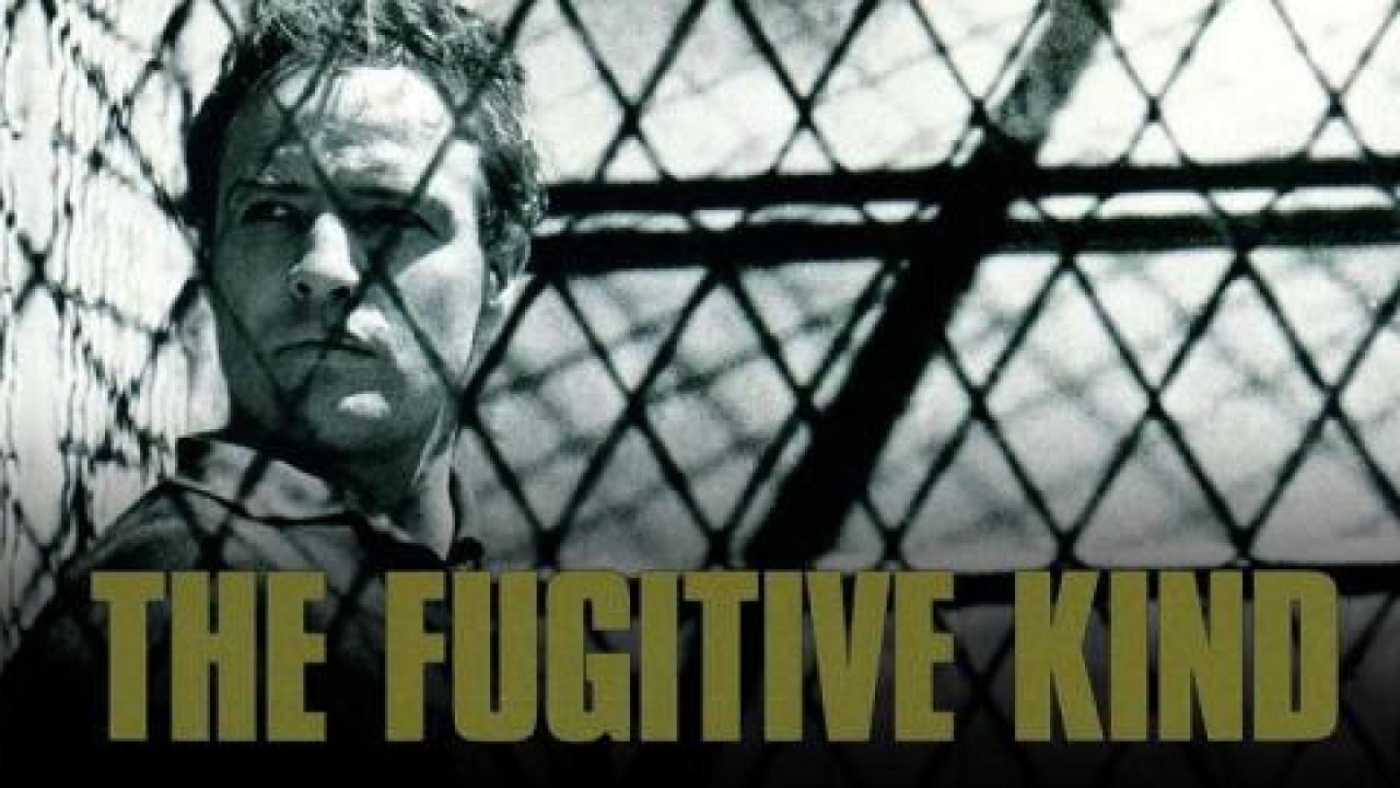 فيلم The Fugitive Kind 1960 مترجم كامل HD