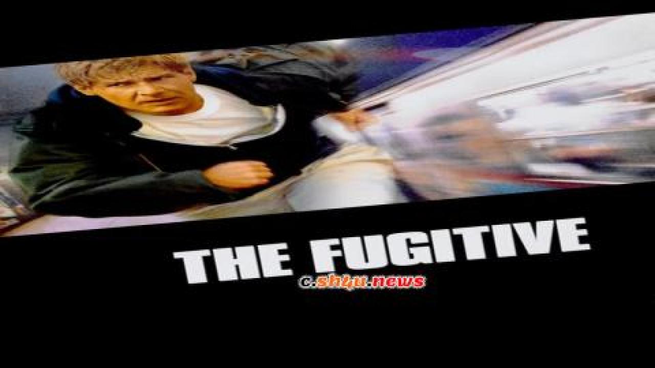 فيلم The Fugitive 1993 مترجم - HD