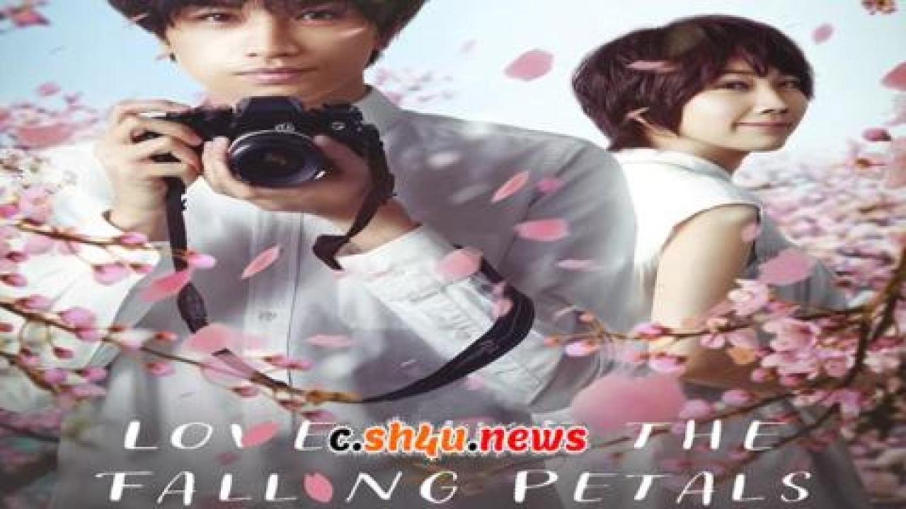 فيلم Love Like the Falling Petals 2022 مترجم - HD