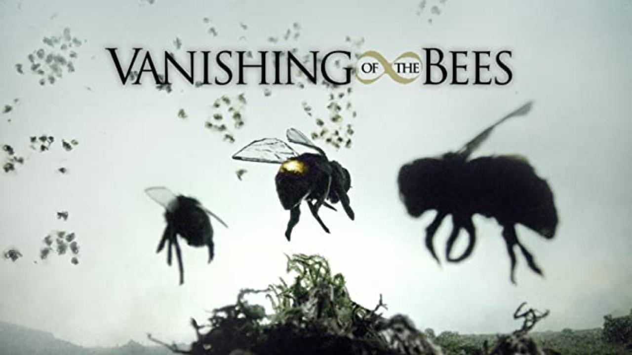 فيلم Vanishing of the Bees 2009 مترجم كامل بجودة HD