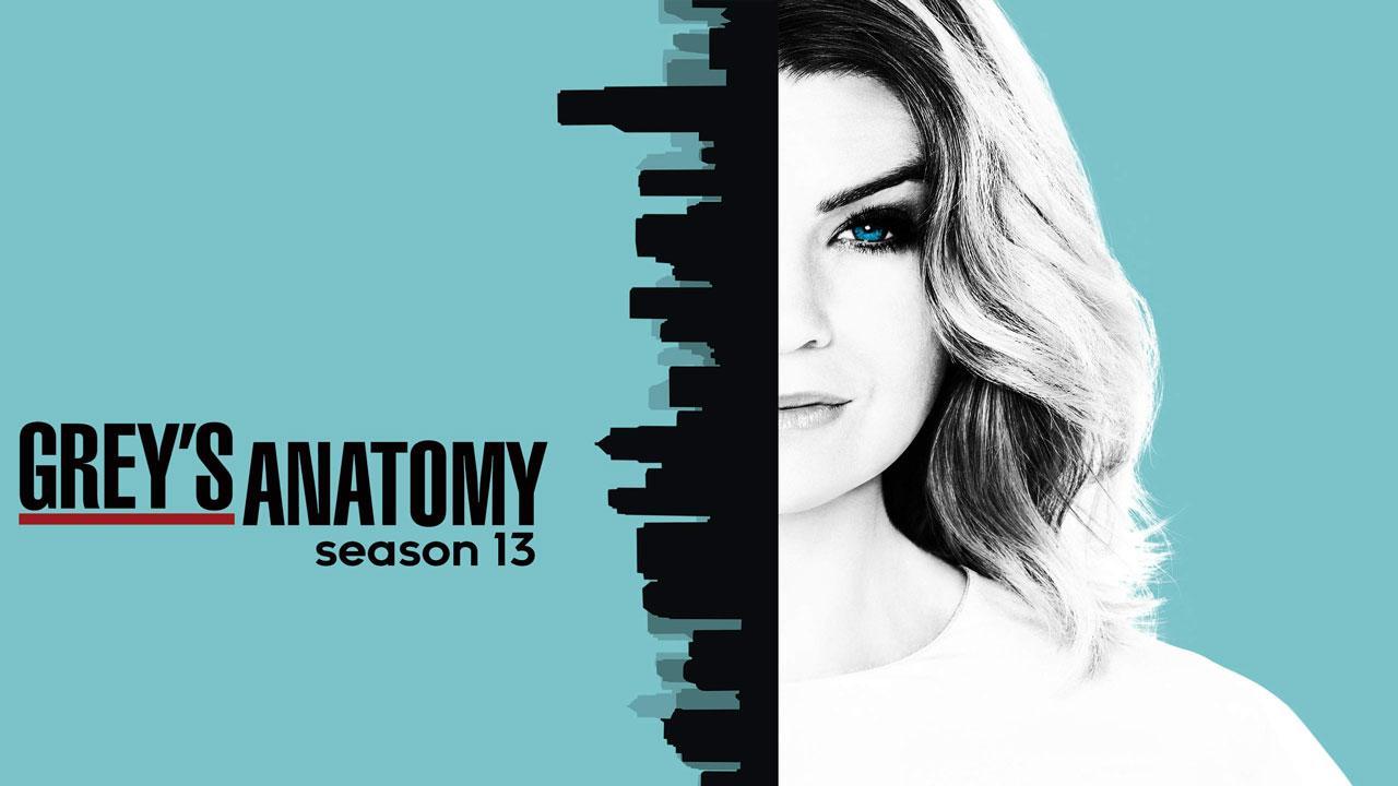 Grey's Anatomy S13