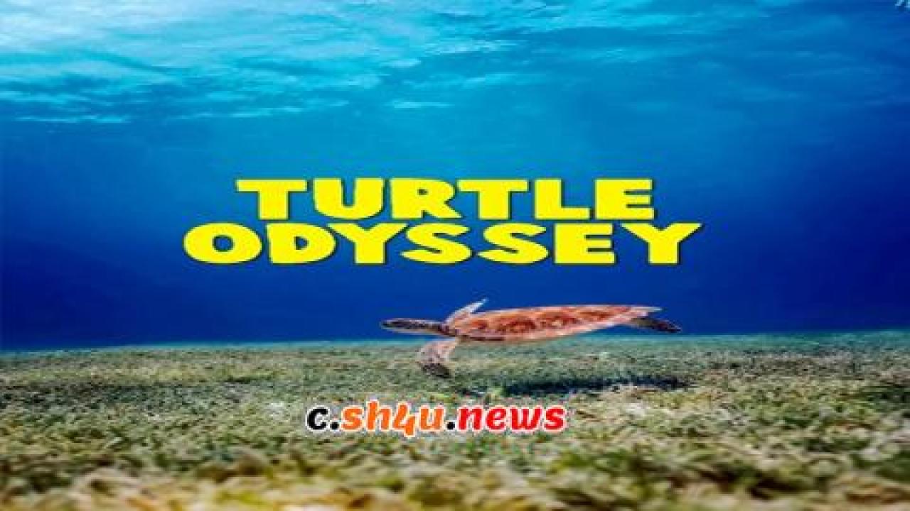 فيلم Turtle Odyssey 2018 مترجم - HD